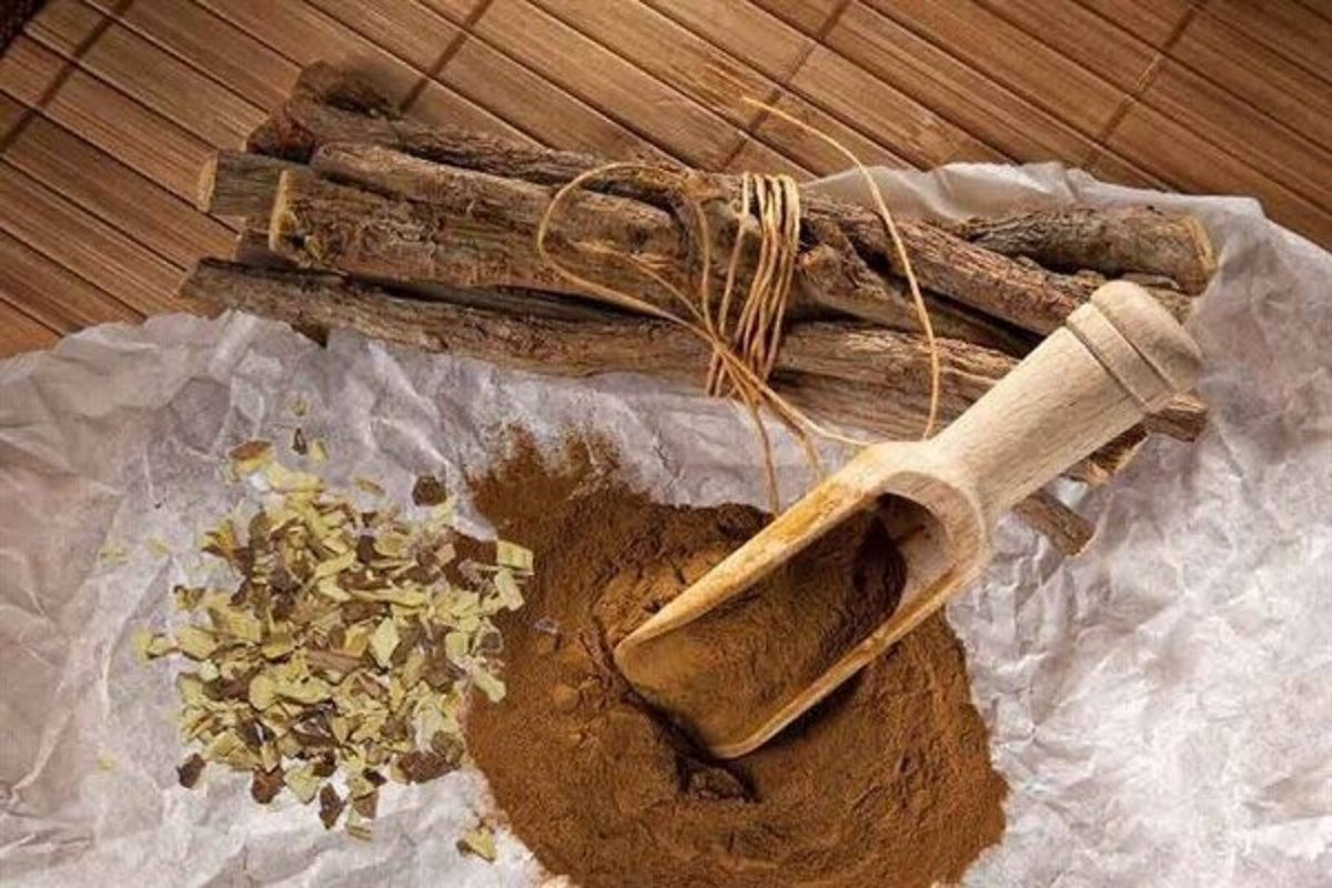 به دلیل مقدار زیاد ساکاروز در شیرین‌بیان، مصرف آن برای دیابتی‌ها ممنوع!