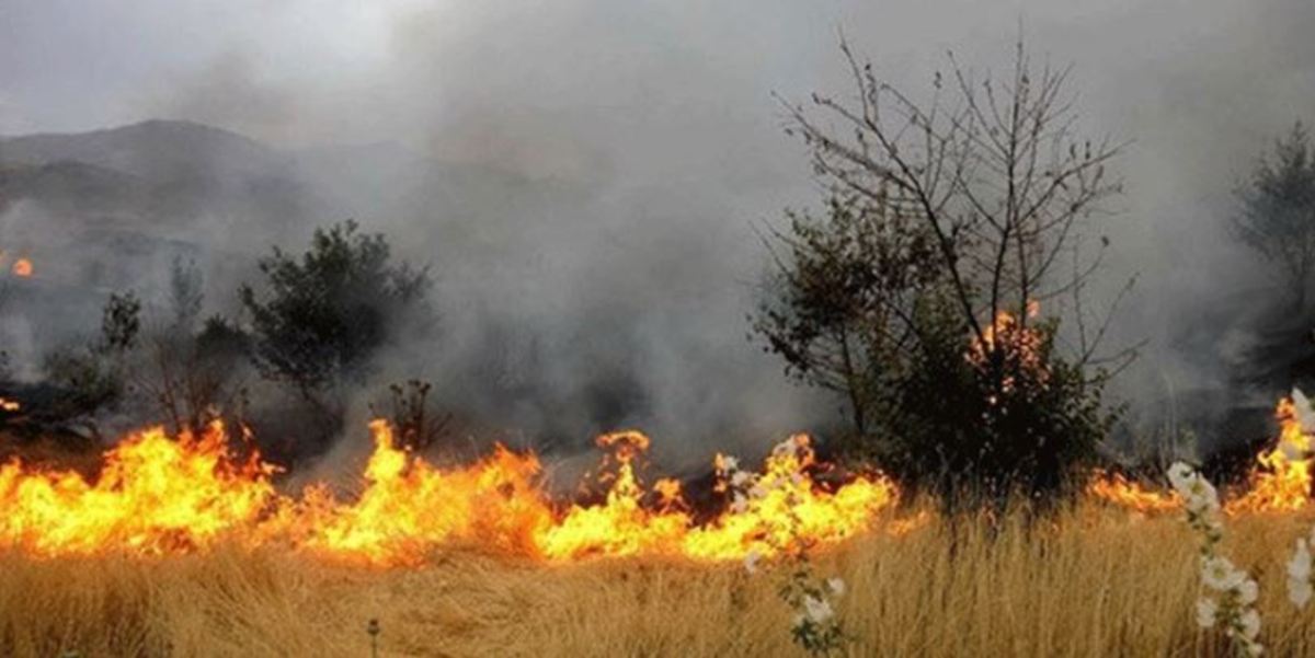 مراتع صعب‌العبور جنگلی بلده دچار حریق شد