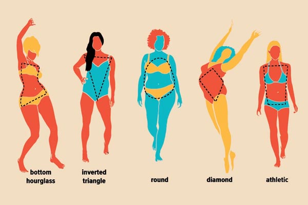 رایج‌ترین شکل‌های بدن کدامند؟