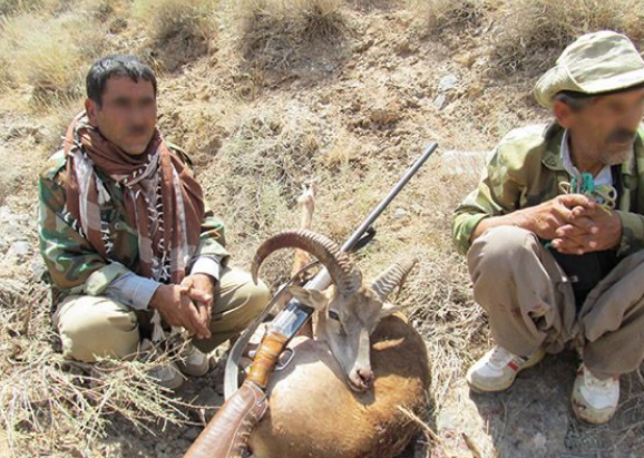فرمانده محیط زیست قزوین از به دام افتادن دو شکارچی غیر مجاز خبر داد