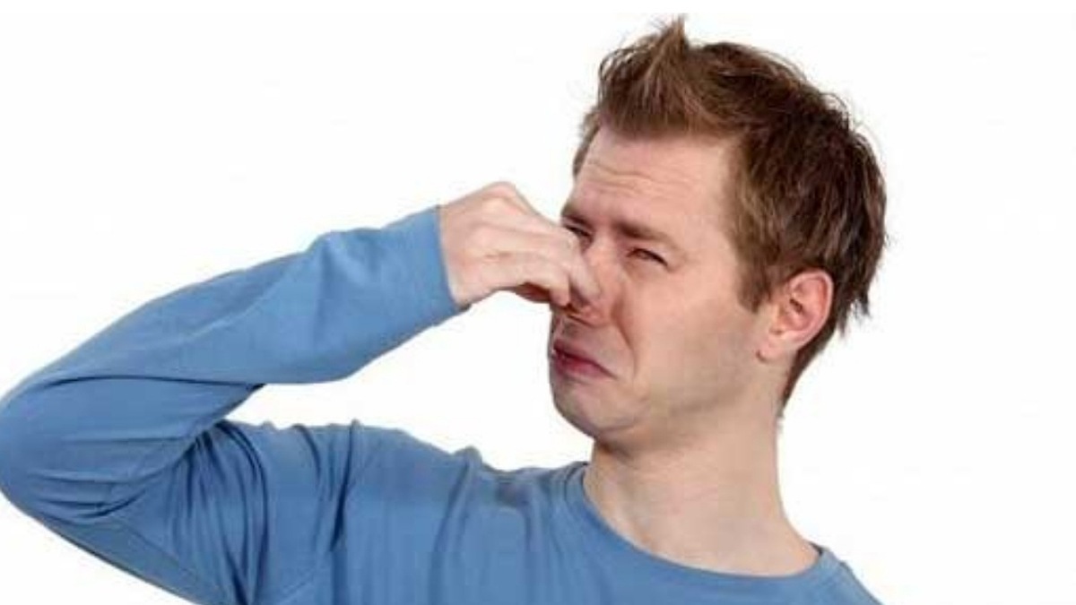 استفاده از گیاهان دارویی برای جلوگیری از عرق کردن زیاد