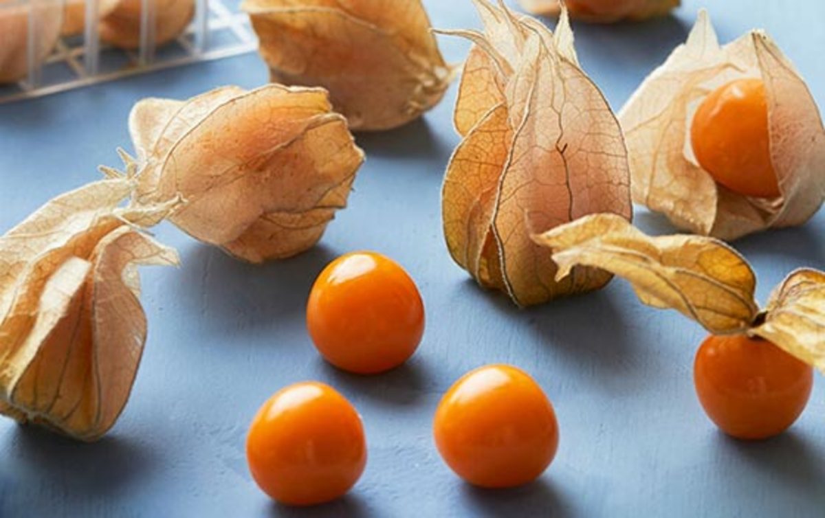 فواید باورنکردنی توت طلایی برای سلامتی +روش استفاده و مضرات
