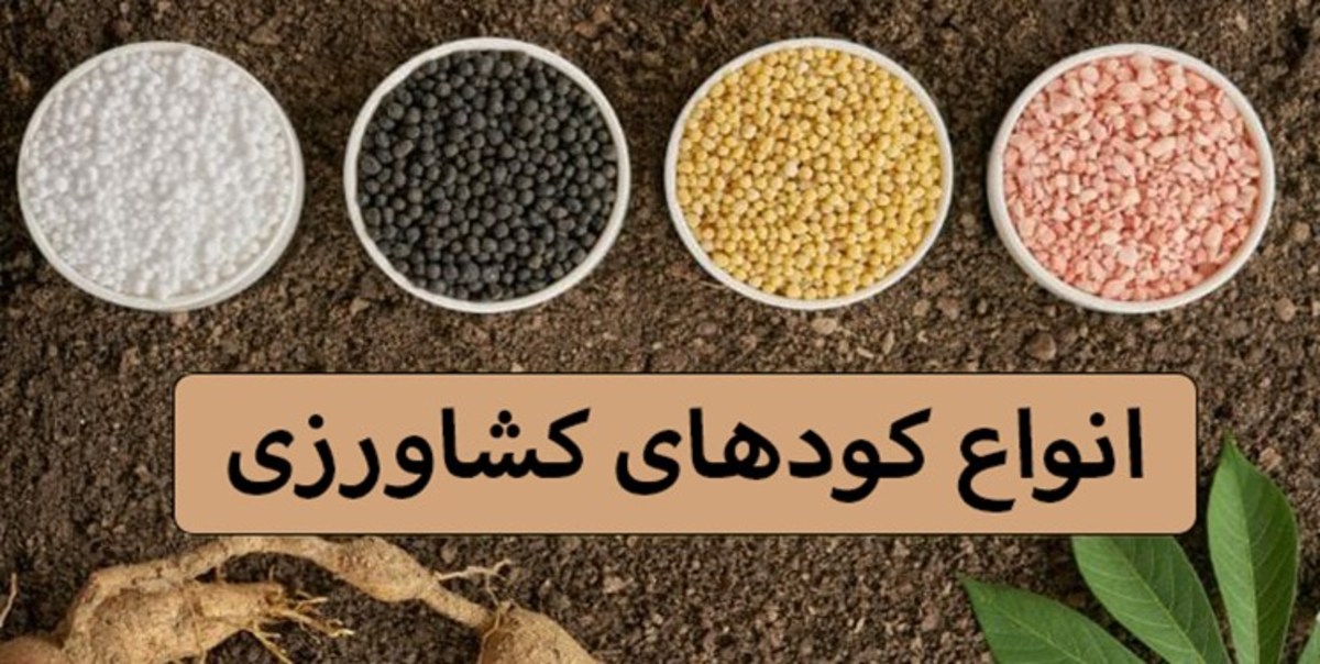 ذخیره ۱۱هزار و ۷۰۰ تن انواع کود شیمیایی در ایلام