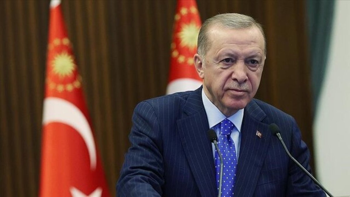 اردوغان: با پوتین رایزنی می‌کنم/ اقدام نظامی علیه نیجر درست نیست