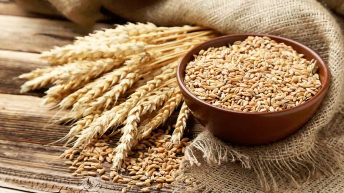 این ماده در گندم منجر به التهاب مغزی میشود