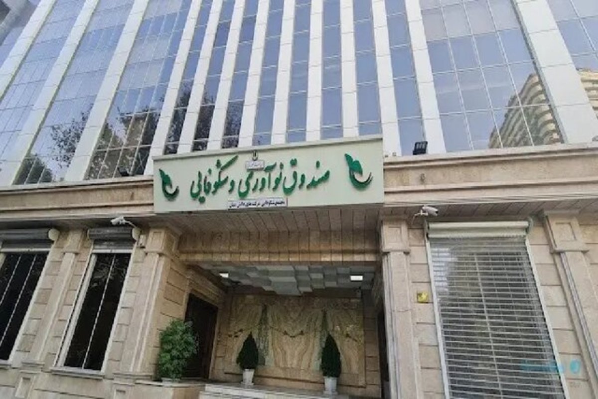 ضوابط تسهیلات صندوق نوآوری برای کمک به توسعه اشتغال دانش‌بنیان تصویب شد