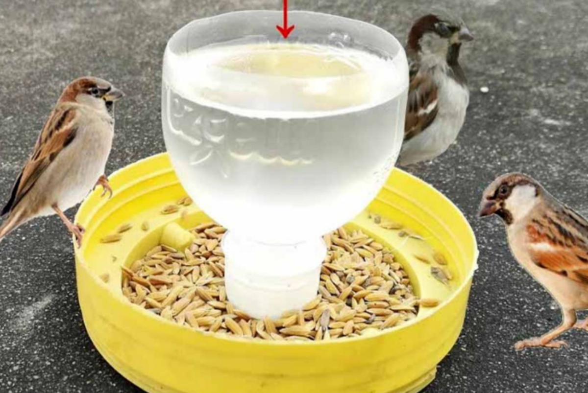 کاردستی با وسایل دور ریختنی، مخصوص کودکان