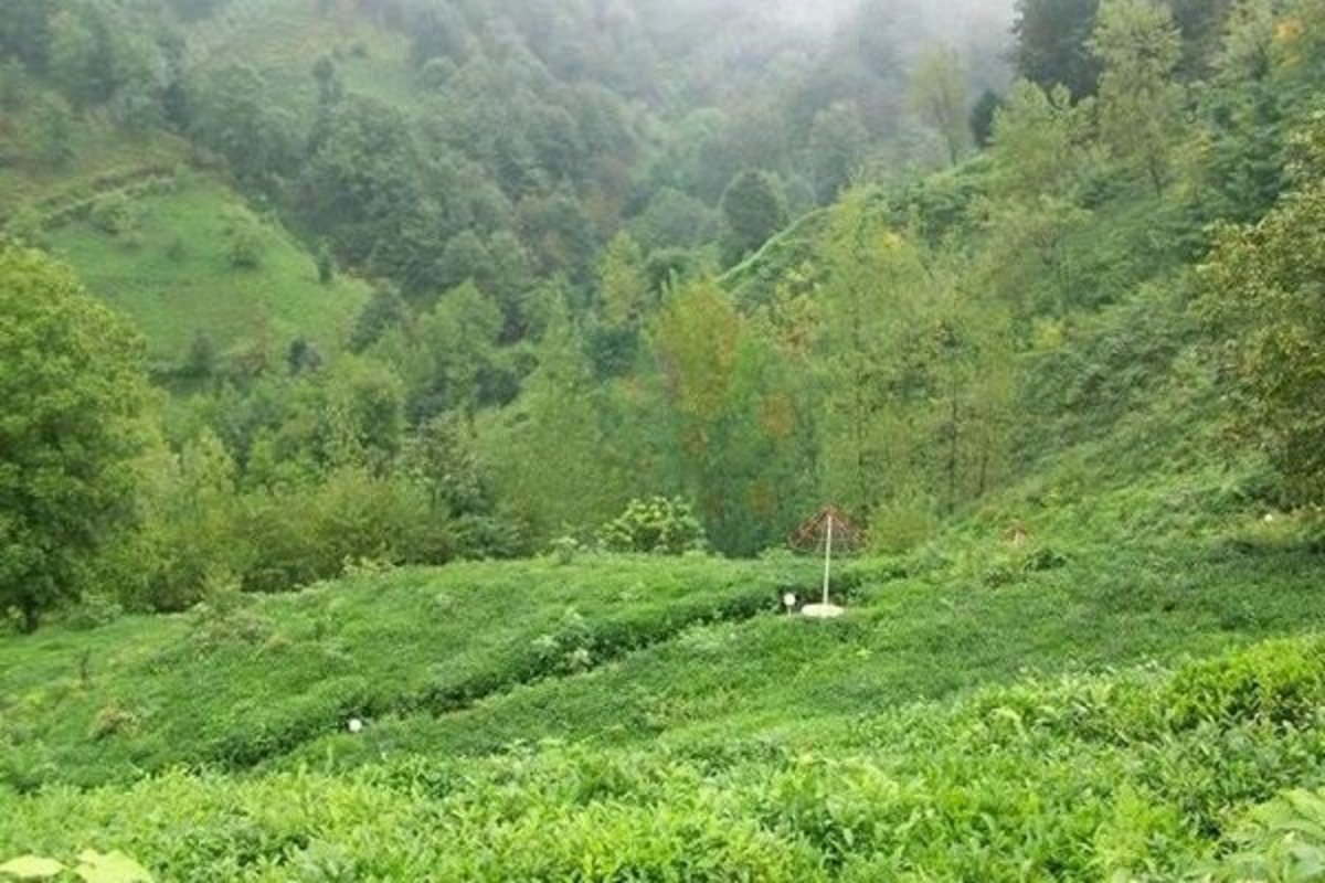 آزادسازی ۷۰۰۰ متر مربع اراضی ملی در لاهیجان