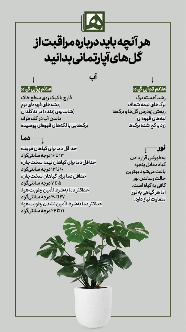 از کجا بفهمیم گیاهمان تشنه است؟