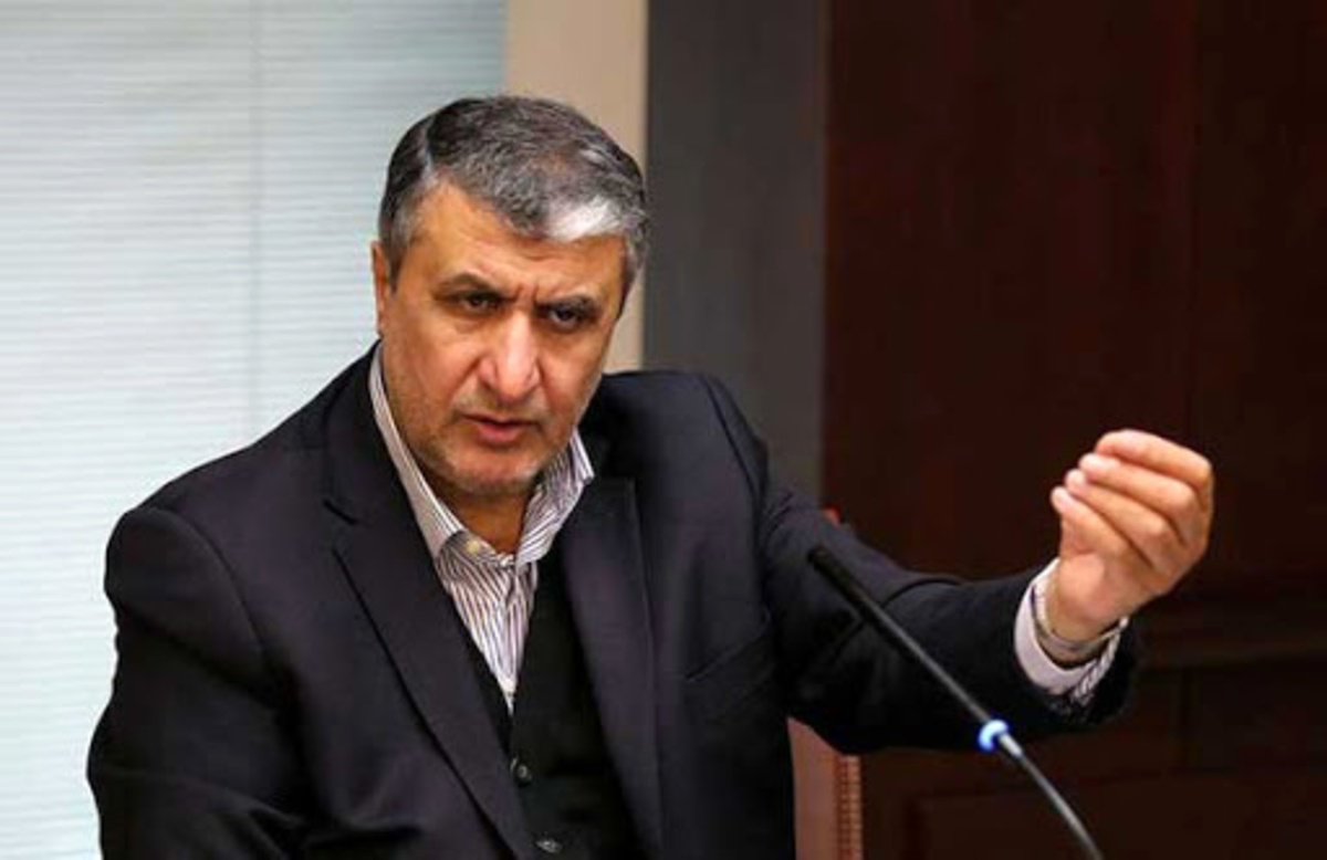 دیدار رییس سازمان انرژی اتمی با خانواده «شهید امینی»