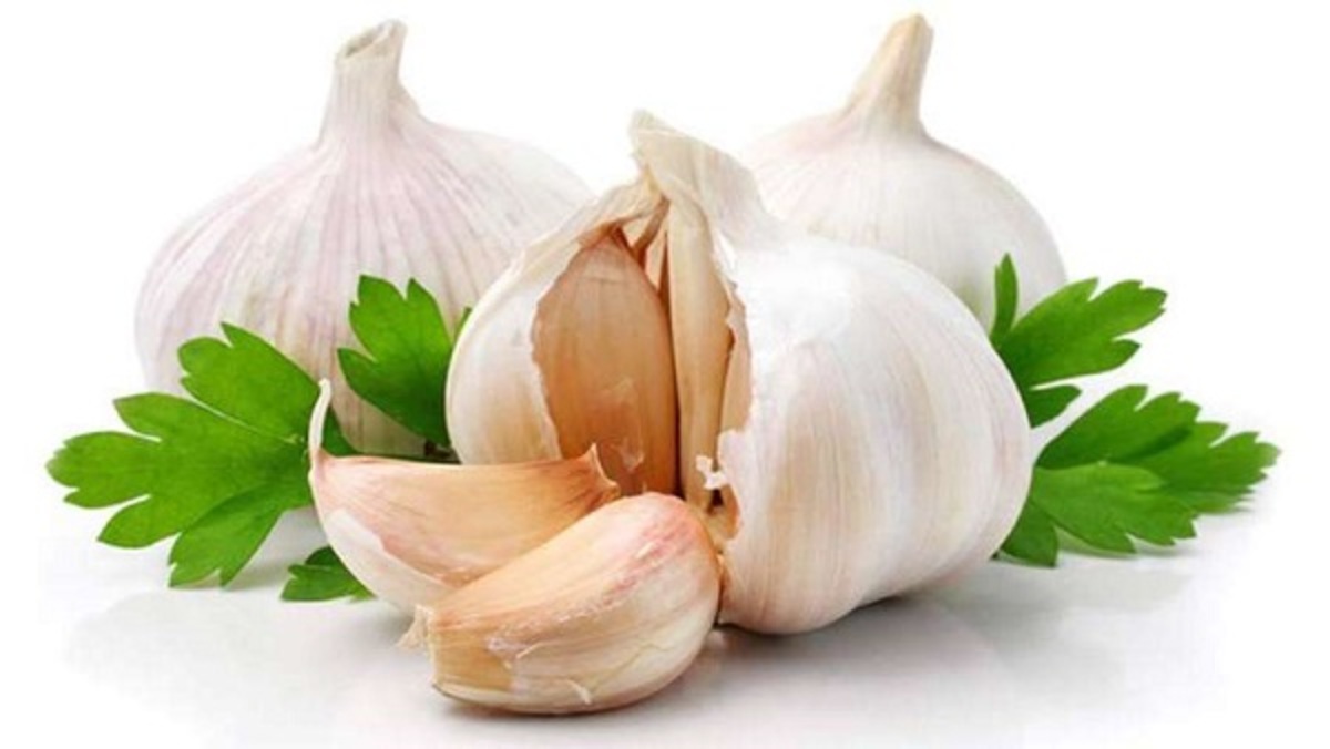 برای درمان حساسیت به مواد غذایی از گیاهان دارویی استفاده کنید!