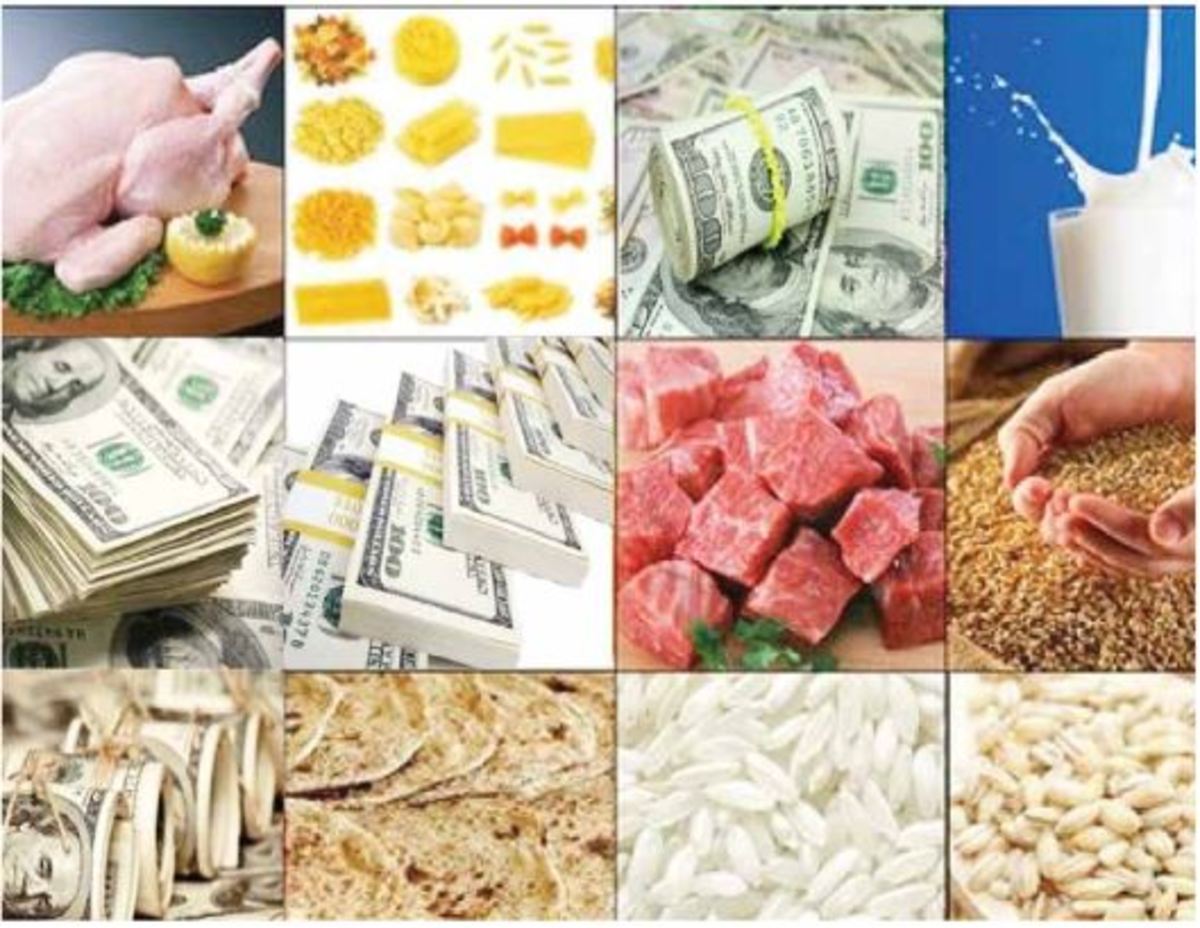 الزام حذف ارز ۴۲۰۰ تومانی چه بود؟ بازخوانی دلایل کارشناسی و ثمرات حذف ارز ترجیحی
