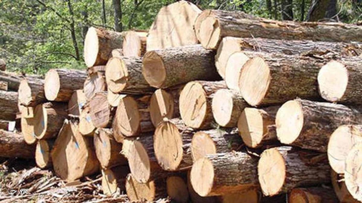 کشف و ضبط بیش از ۱۰ تن چوب قاچاق در سردشت