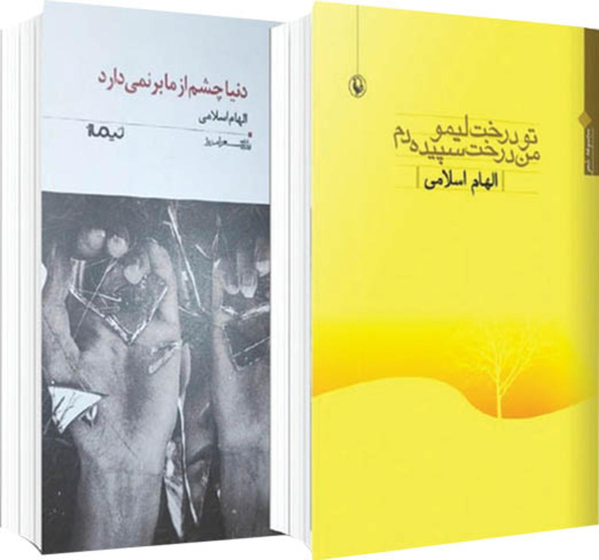 اگر ناگهان بهار بیاید من چه کار کنم؟