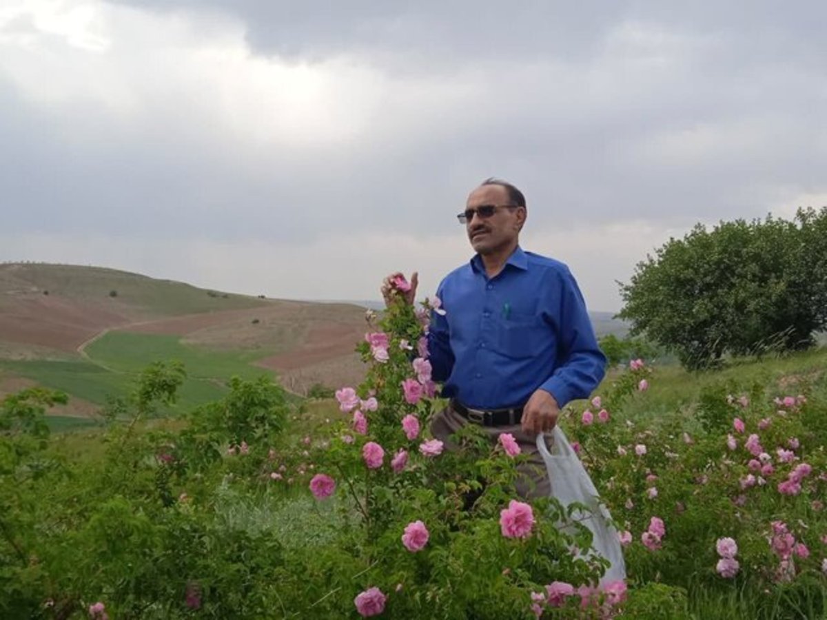 لرستان سرزمین رویایی اجرای طرح‌های نوین مطابق با توان سرزمین است