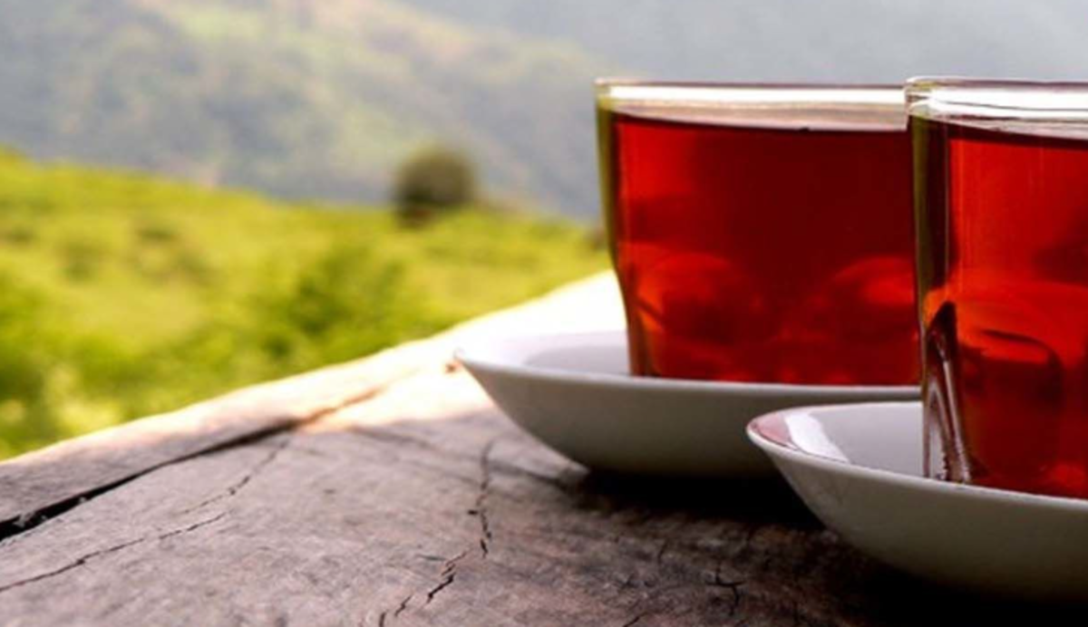 در این مواقع از خوردن چای پرهیز کنید