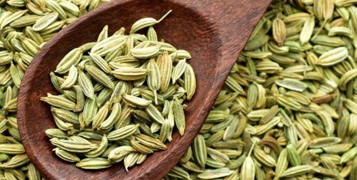 فوت و فن تهیه روغن زیره خانگی و طبیعی با کمترین هزینه