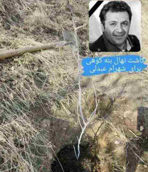 کاشت نهال آناهیتا همتی برای شادی روح شهرام عبدلی