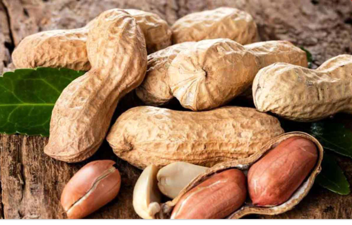 خوردن بادام زمینی به این افراد به شدت توصیه می شود