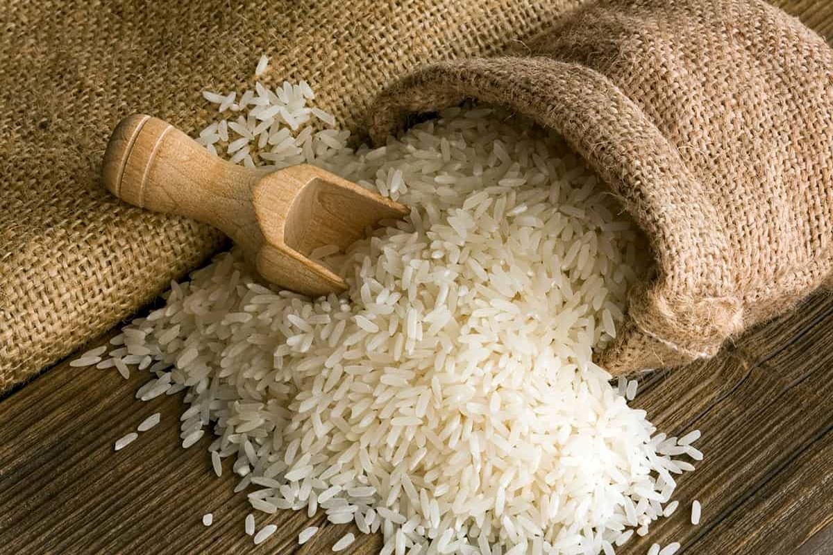 افزایش تولید برنج در کشور‌های خشک و کم‌آب به کمک فاضلاب ها!