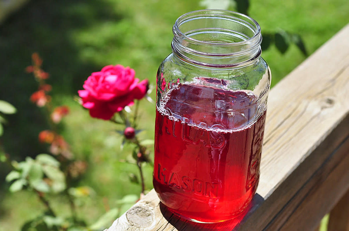 رسپی شربت خوش عطر و دلچسب گل محمدی برای روز‌های گرم تابستان