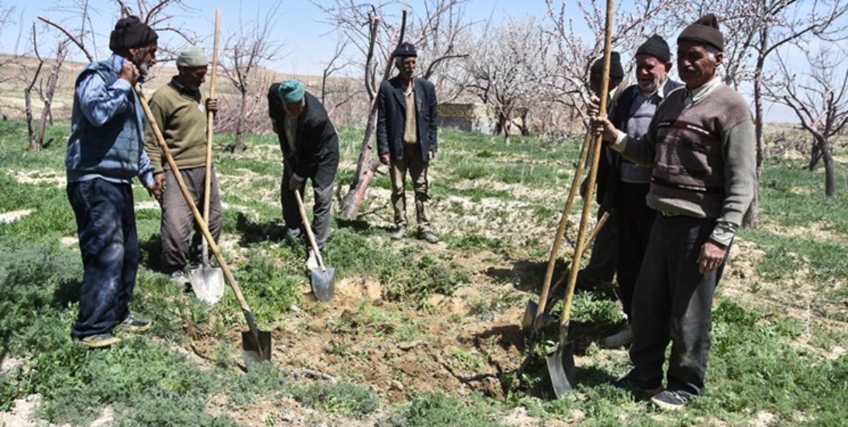 ۳ ‏برابرشدن بیمه‏شدگان روستایی