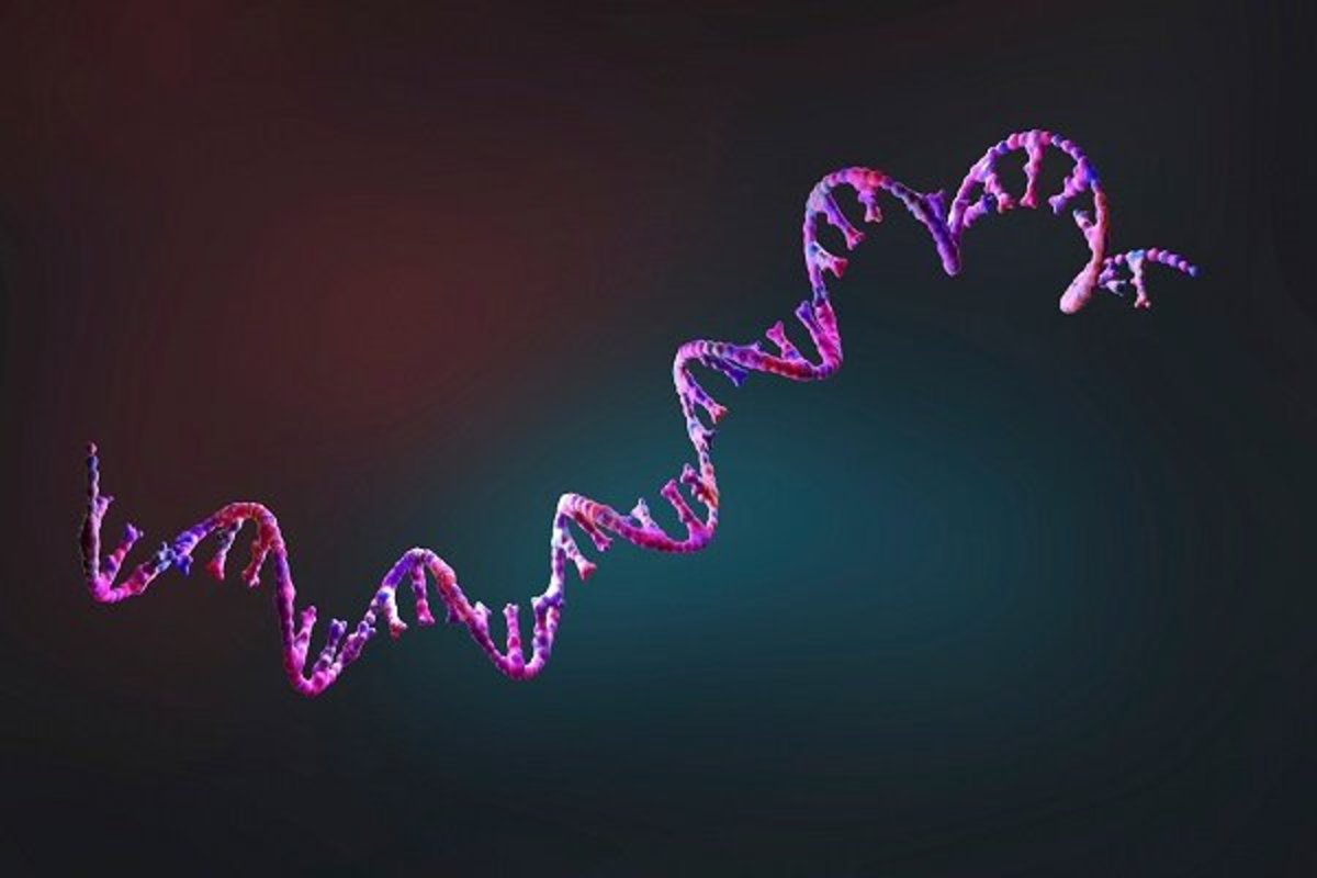 واکسن‌های RNA ضدکرونا ساخته خواهند شد