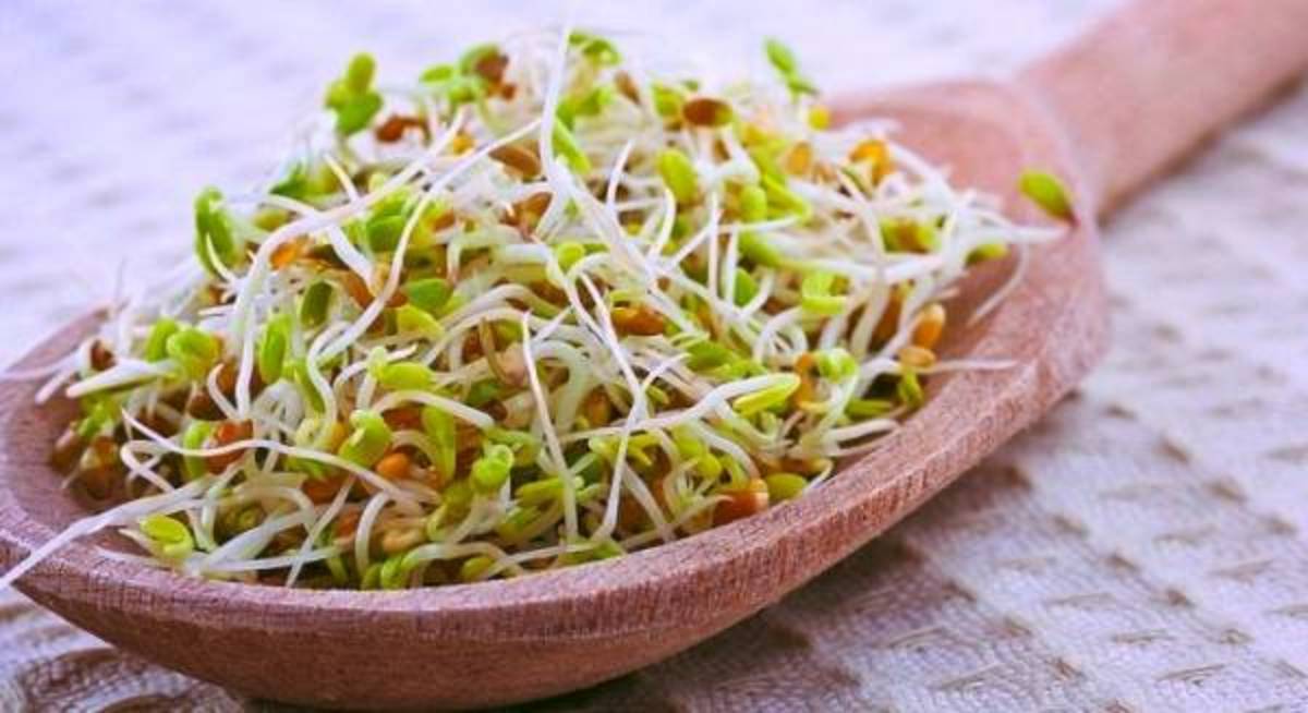 چه کسانی بیشتر در معرض مسمومیت جوانه‌ها هستند؟