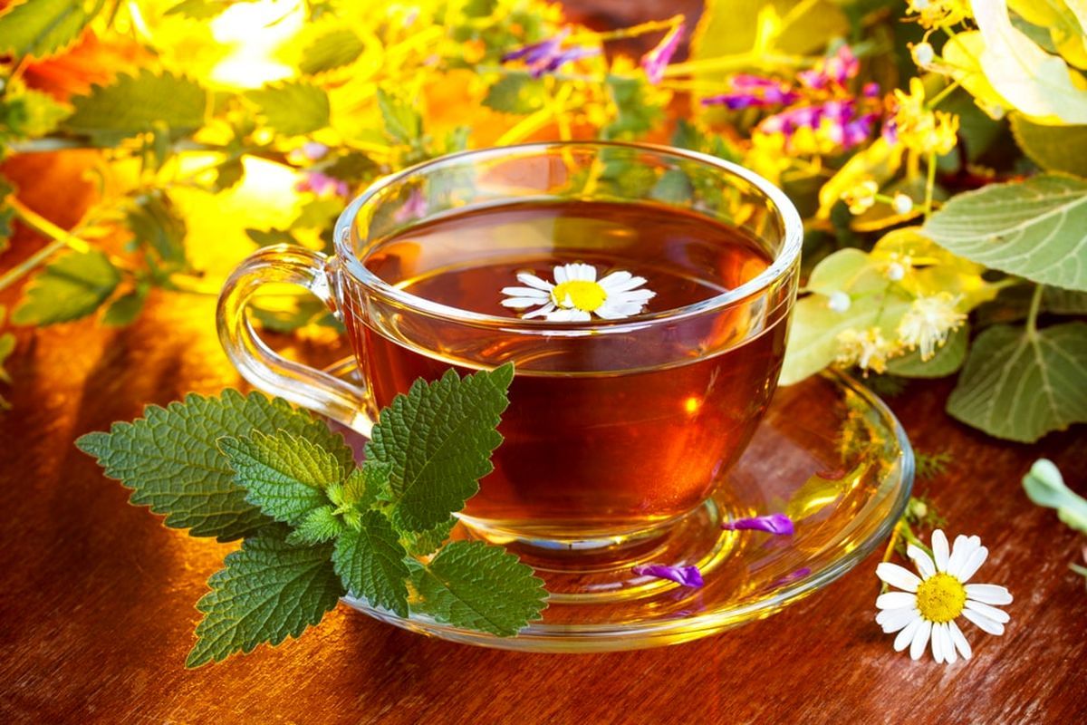 بررسی بخش های مختلف گیاهان دارویی و خواص آنها