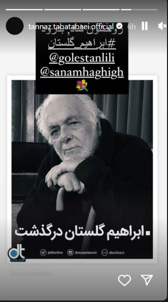 لو رفتن راز بین طناز طباطبایی با مانی حقیقی! / پشت پرده خجالت آور چیست؟!