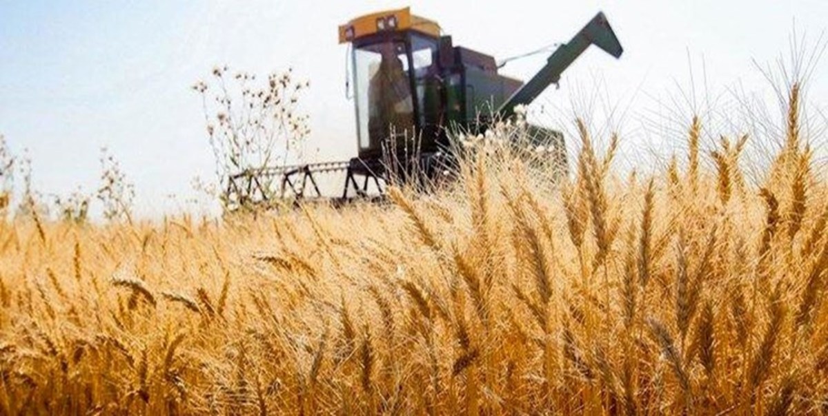 امنیت غذایی از مولفه‌های اول استقلال یک کشور است