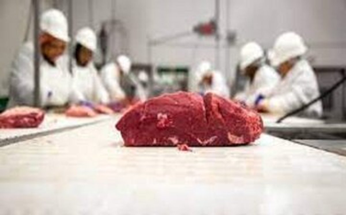 برای تضمین سلامتی بدن از مصرف بی رویه این مواد غذایی اجتناب کنید