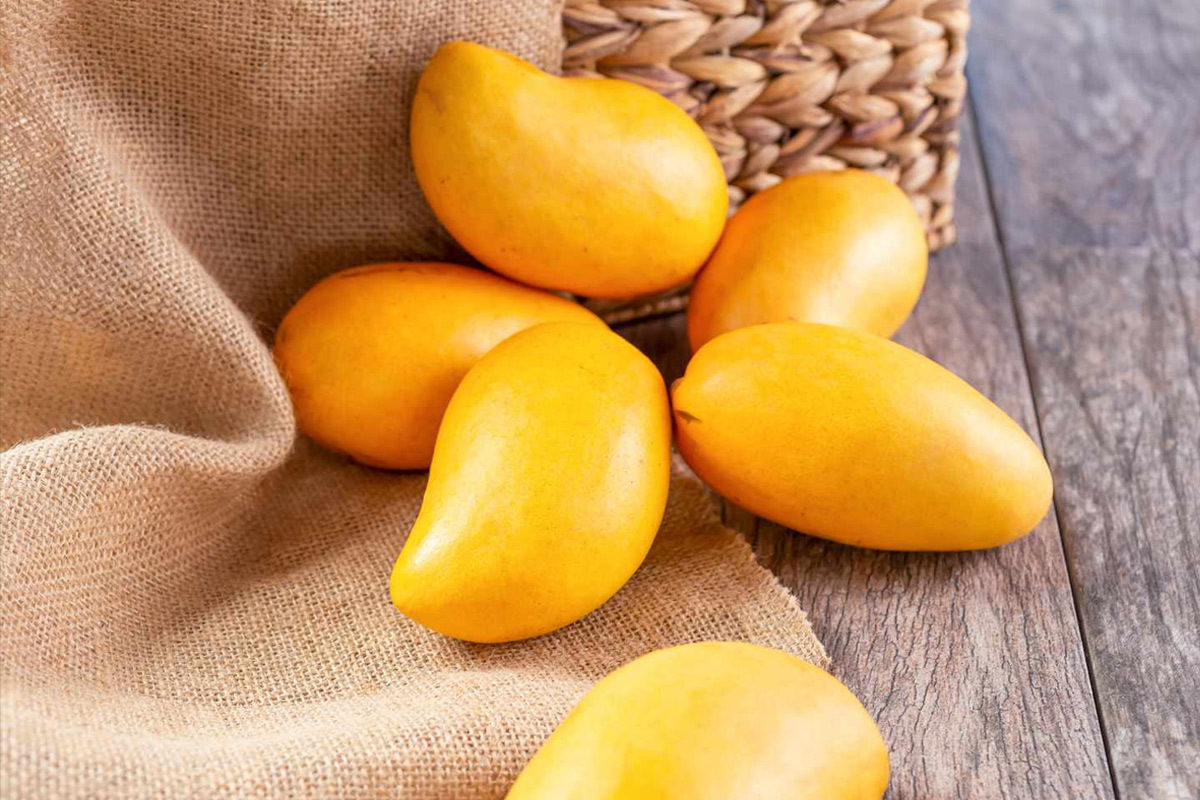 محافظت از قلب یکی از خواص چندگانه انبه