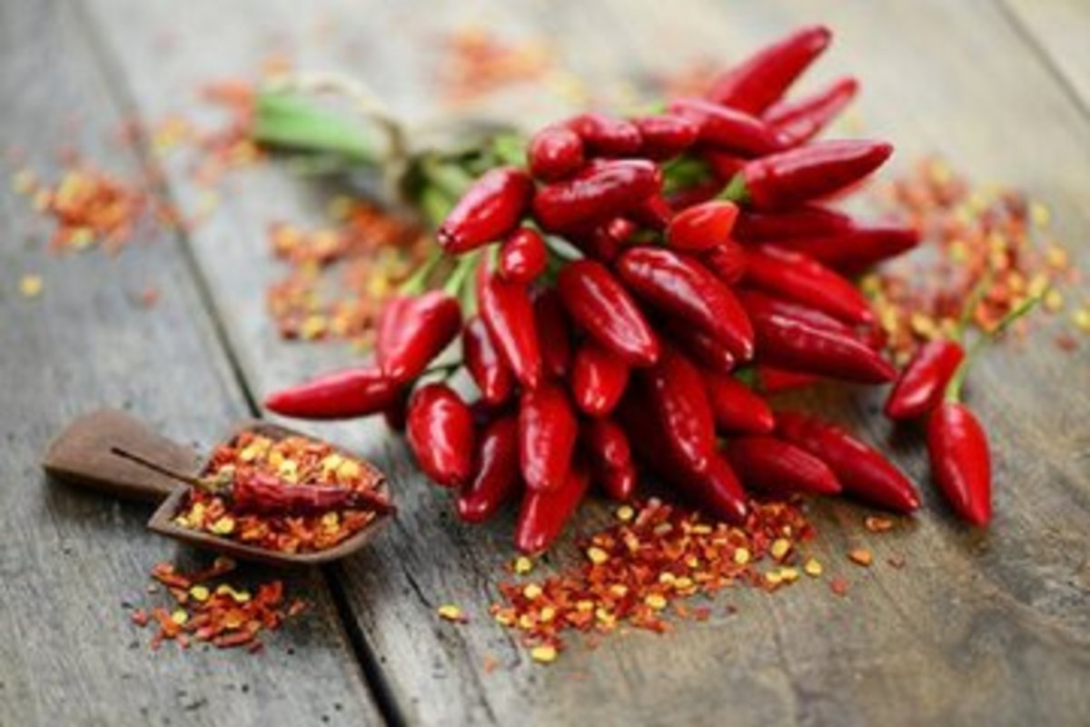 فلفل تند معجزه‌ای برای افزایش طول عمر و درمان میگرن