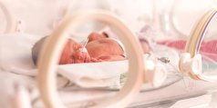 نجات ۱۶۲ نوزاد از سقط در یزد