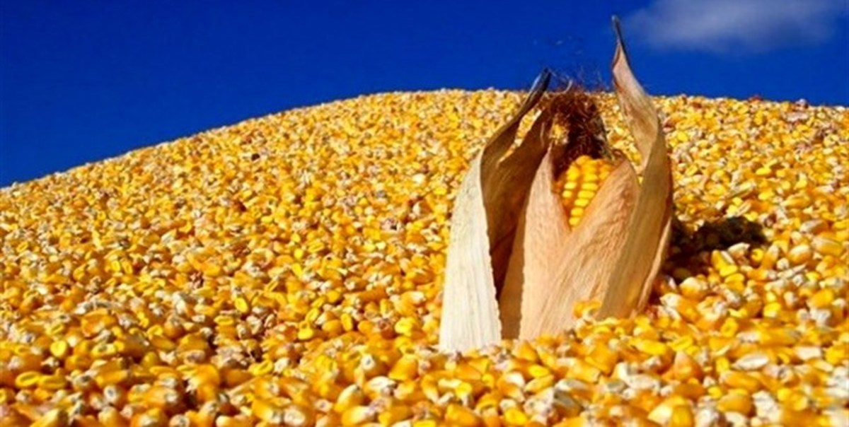 سقف قیمت ارزی واردات کالا‌های اساسی و نهاده‌های کشاورزی تعیین شد