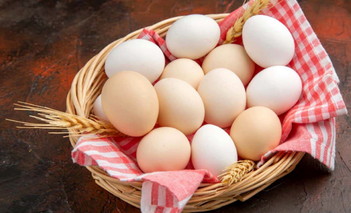 چگونه تخم مرغ فاسد را تشخیص دهیم؟