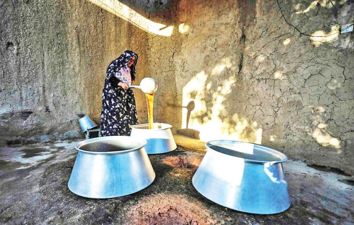 شهرت جهانی با شیره‌پزی