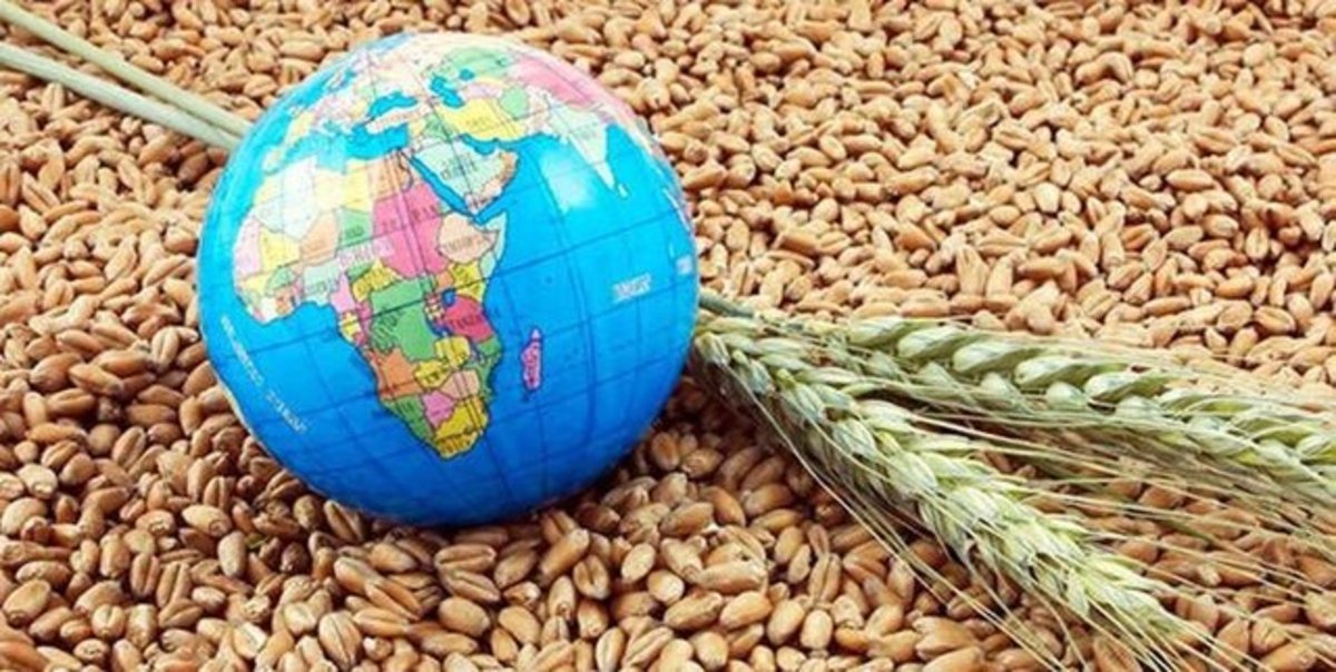غوغای ال‌نینو در کدام کالا‌های کشاورزی است؟