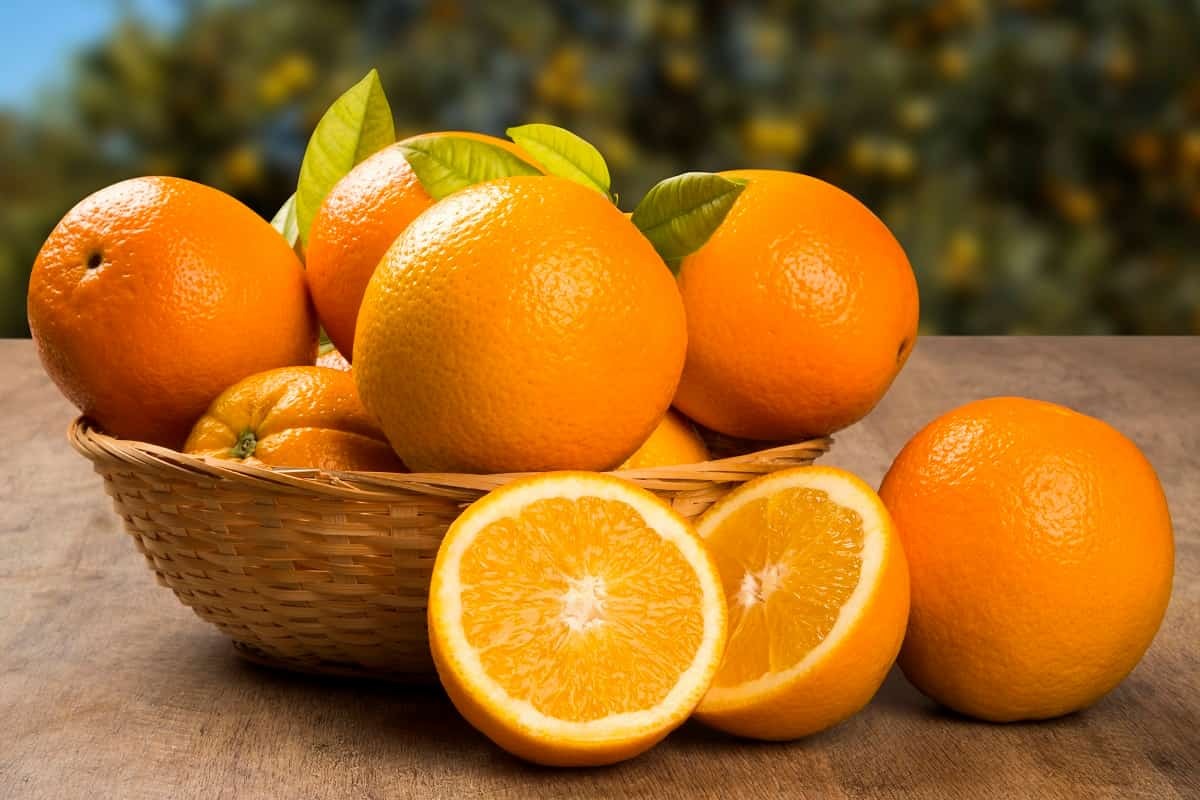 استفاده از پوست میوه پرتقال برای دارو