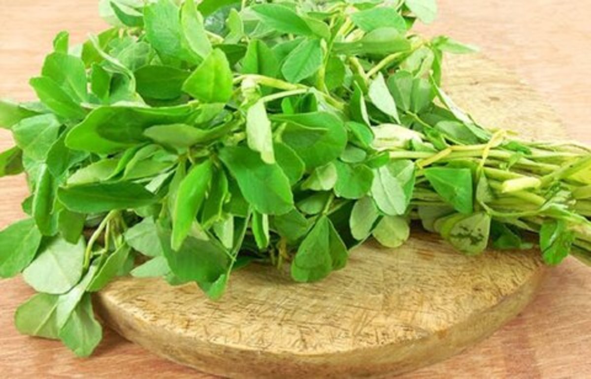 ارزش دارویی شنبلیله و موارد مصرف آن
