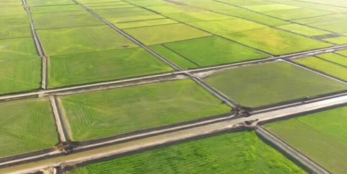 آزادسازی هکتار‌ها زمین کشاورزی در شهرضا