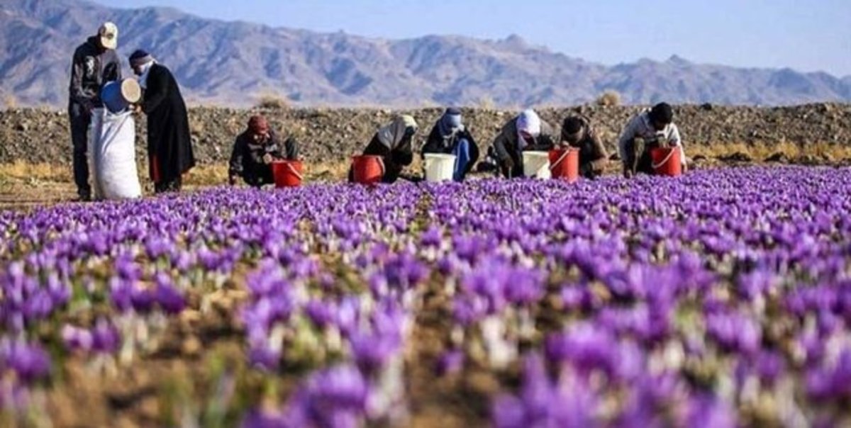 اشتغالزایی در بافق با اجرای طرح شمیم خدمت اوقاف