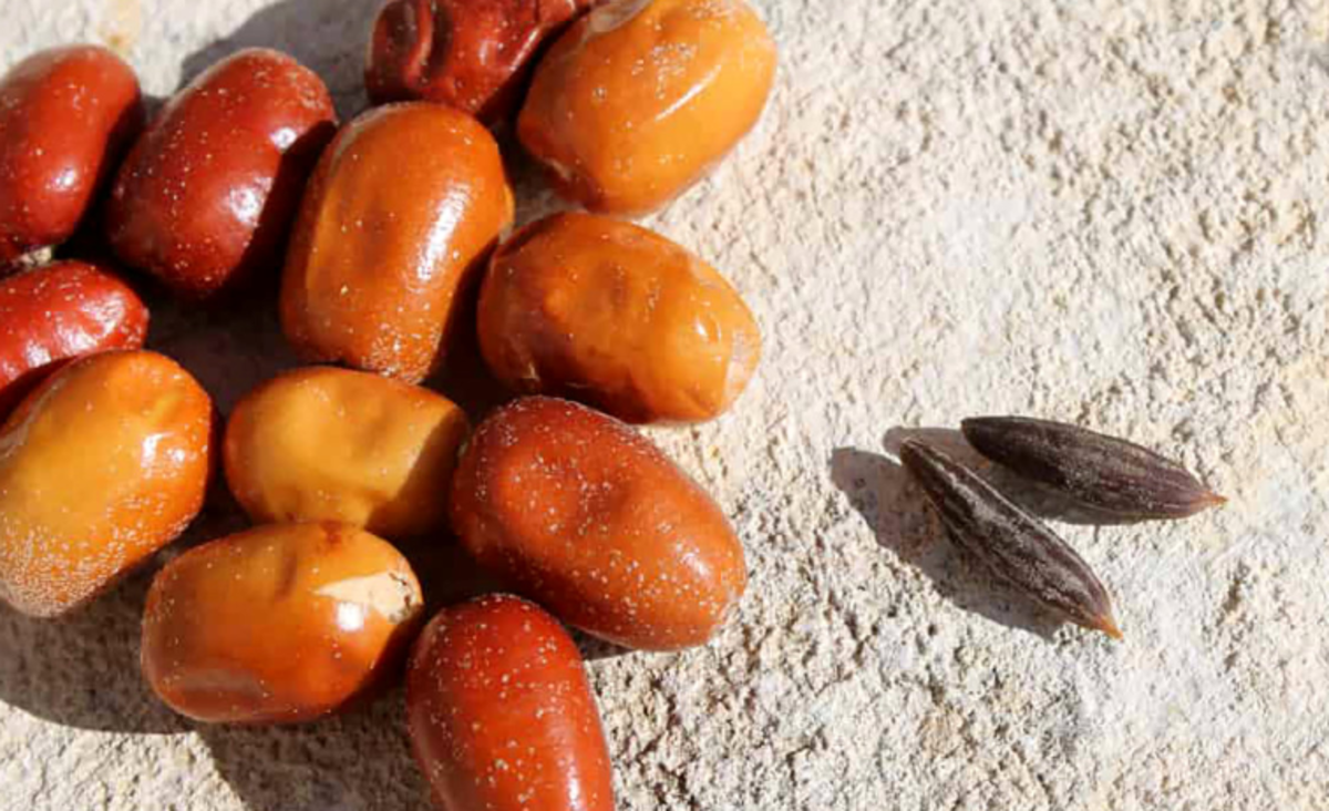 با این ترکیب طبیعی و خوشمزه استخوان هایت را مثل آهن کن!