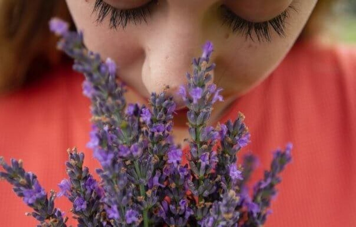 وجود بو‌های مختلف بر نحوه درک انسان از رنگ تأثیر می‌گذارد!