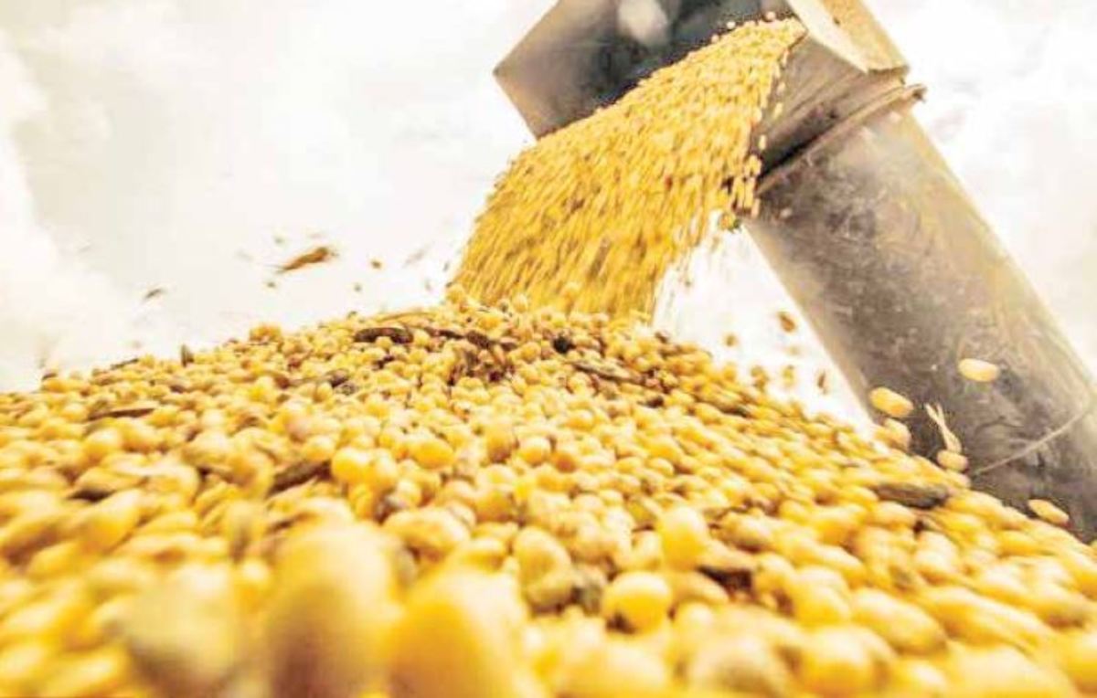 افزایش ۴۰ درصدی تأمین نهاده‌های دامی برای تنظیم بازار