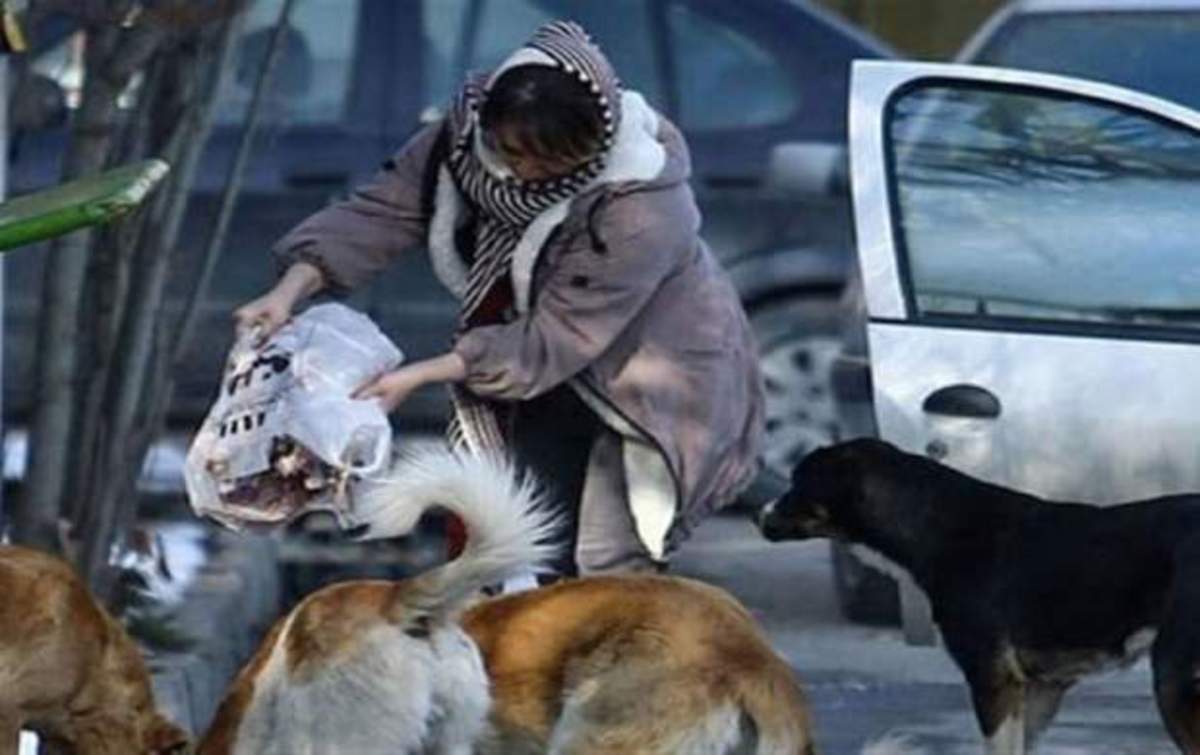 چگونه مافیای غذادهی به حیوانات درآمد نجومی به جیب می‌زنند؟