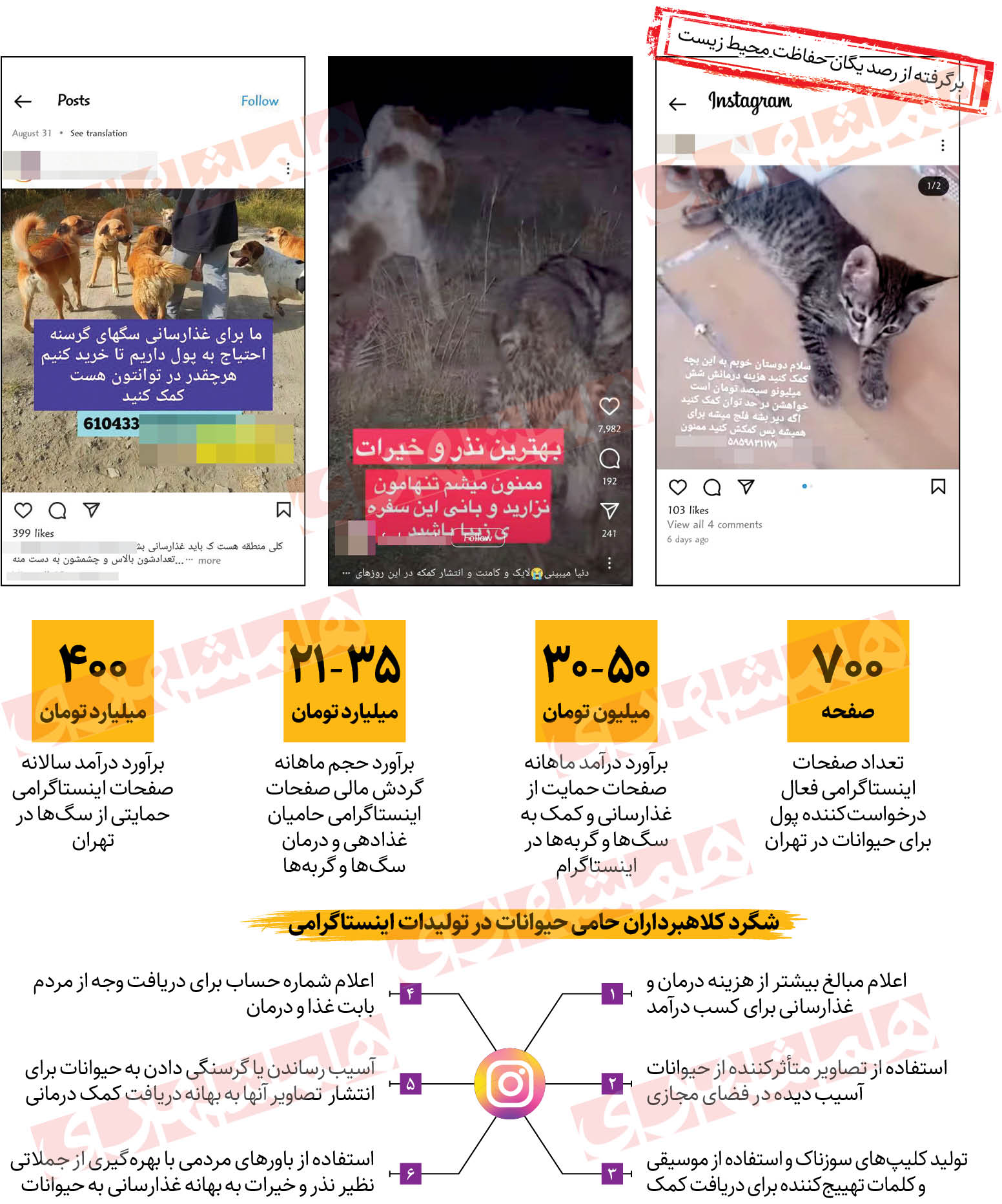 چگونه مافیای غذادهی به حیوانات درآمد نجومی به جیب می‌زنند؟