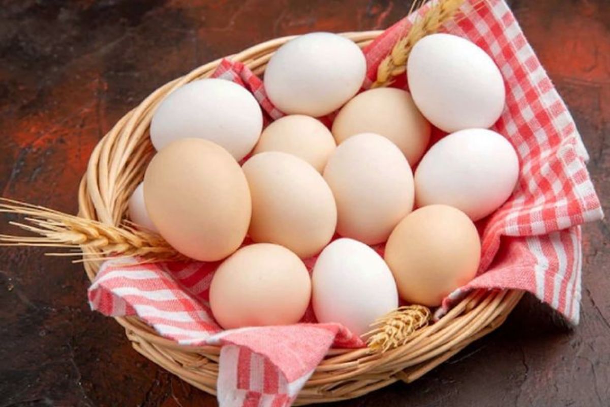 با چگونگی نگهداری درست تخم مرغ آشنا شوید
