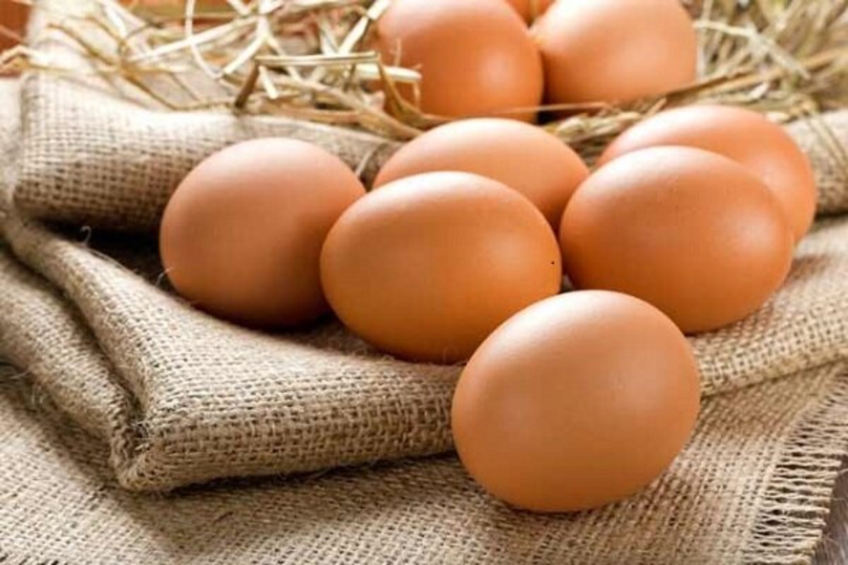 چرا تخم مرغ اهمیت غذایی بالایی دارد؟